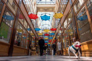 Paris sous la pluie